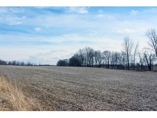 Property photo 6 - REAL ESTATE AUCTION - 17.62+/- ACRES OFFERED IN 2 TRACTS